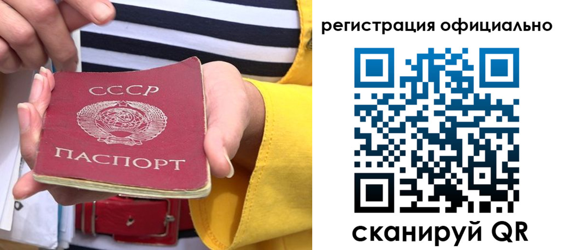 временная регистрация надежно в Светлогорске