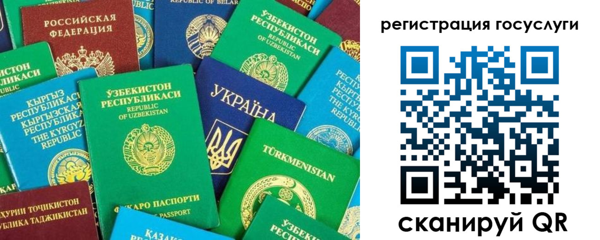 временная регистрация купить в Светлогорске